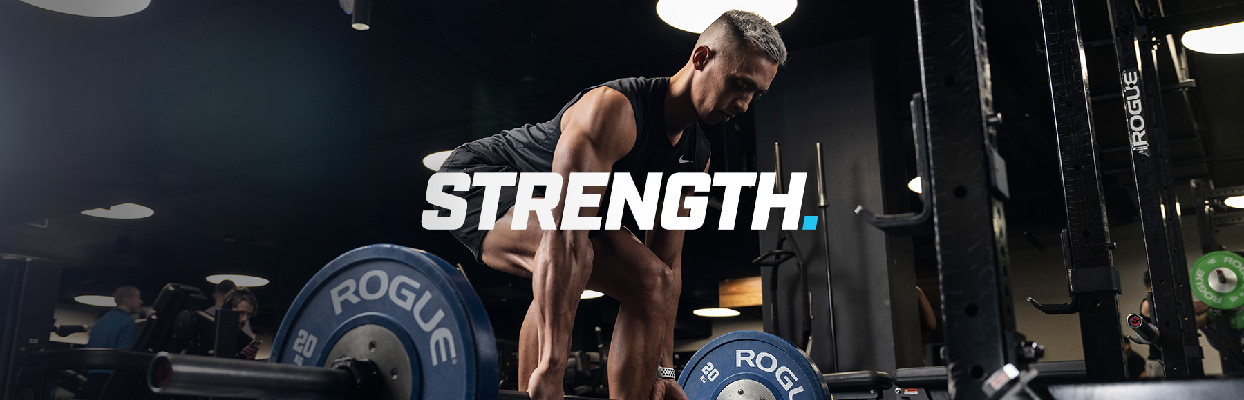 Goodlife weights online